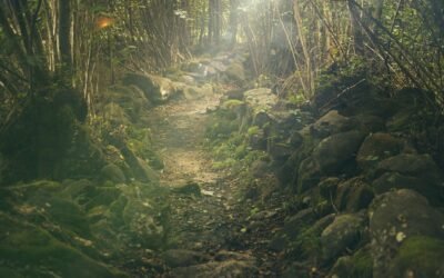 Pourquoi vous devriez ajouter la méditation à votre programme d’entraînement – Plus qu’une simple aide à la relaxation