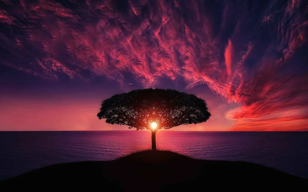 How Meditation Shifts Our Experience Of Physical Body